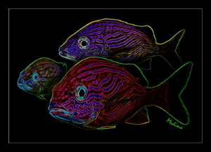 Technicolor Grunt Fish by Tomas (neon) Medina 
